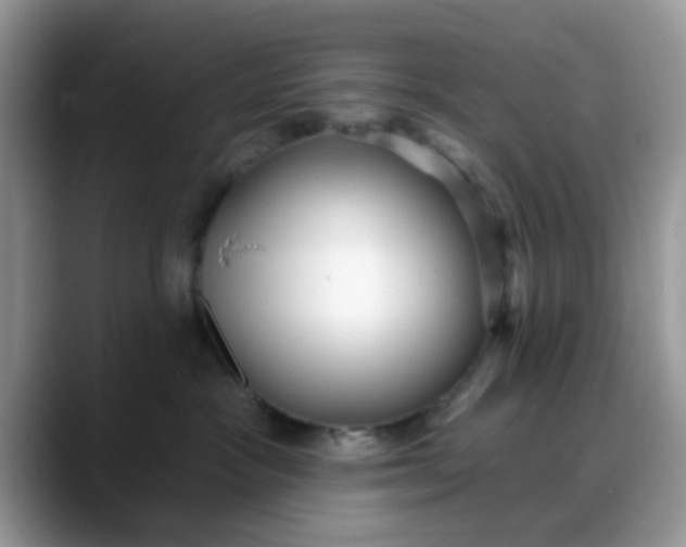 X0000088180333200705291957