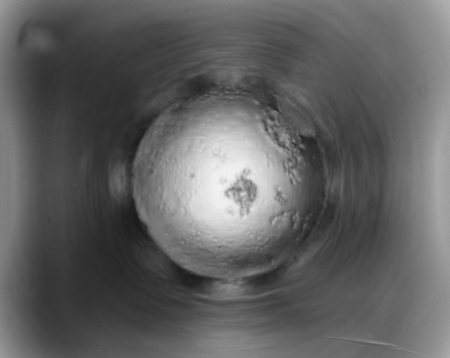 X0000088180335200705291957