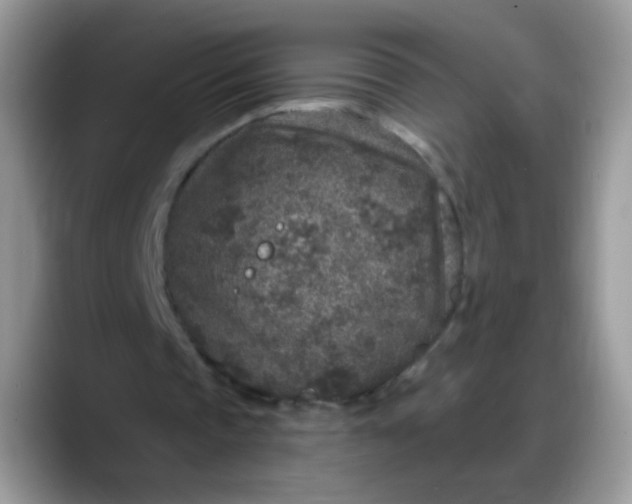 X0000088180337200705291956