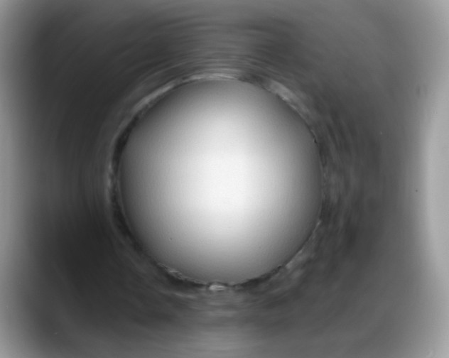 X0000088180338200705291956