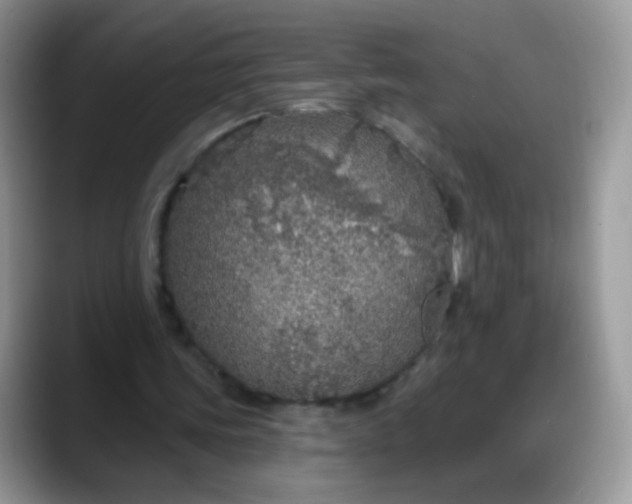 X0000088180339200705291956