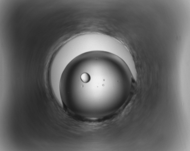 X0000088180340200705291956