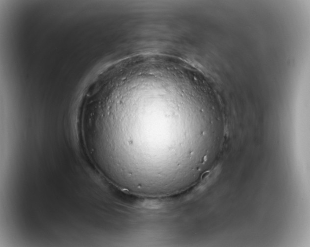 X0000088180341200705291956