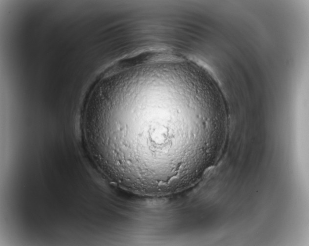 X0000088180345200705291956