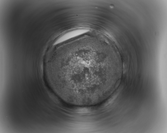 X0000088180349200705291956