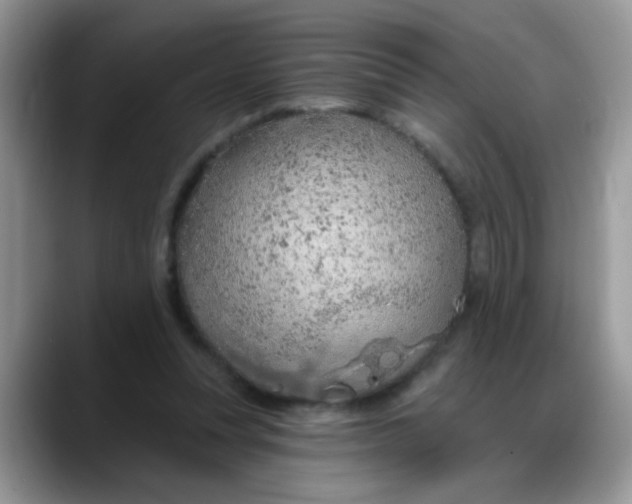 X0000088180351200705291956