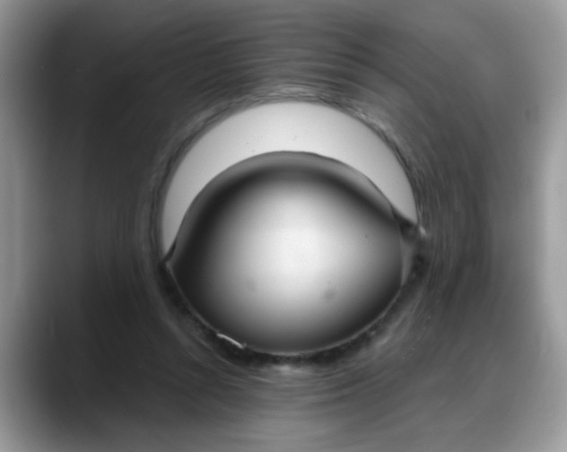 X0000088180352200705291956