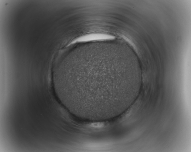 X0000088180353200705291956