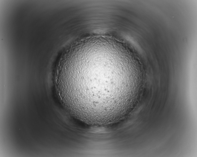 X0000088180354200705291956