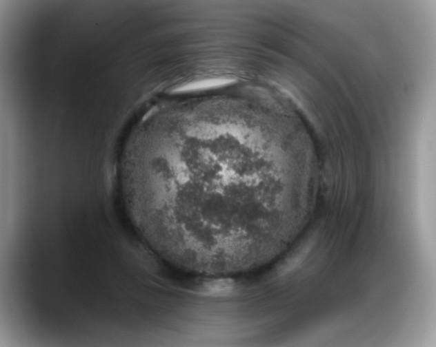 X0000088180355200705291956