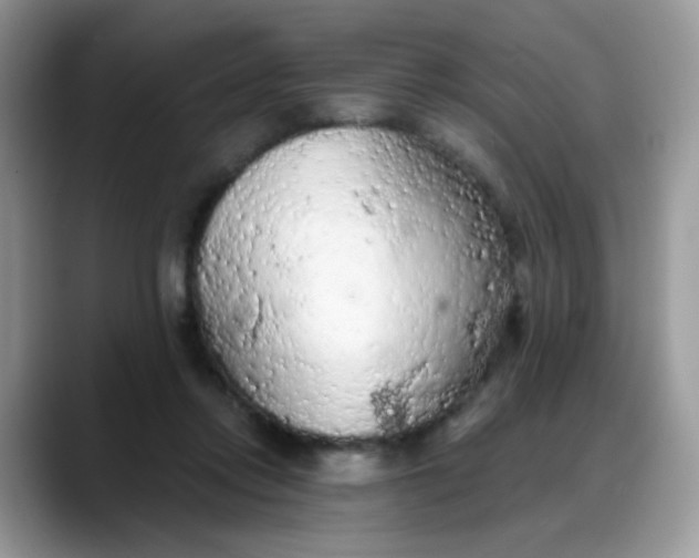 X0000088180358200705291956