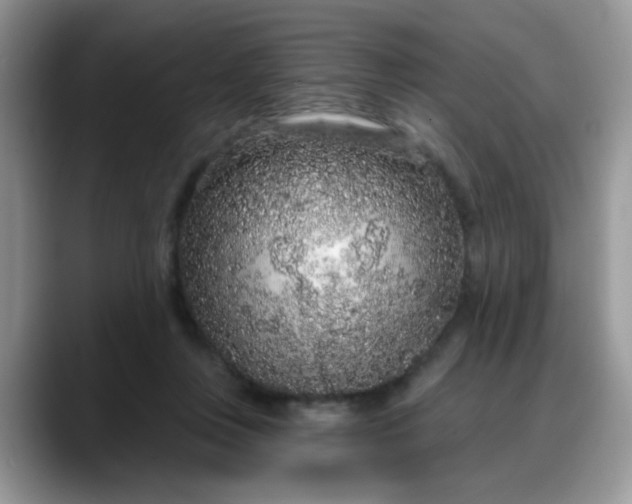 X0000088180359200705291956