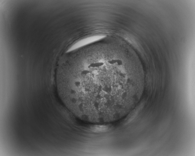 X0000088180361200705291956