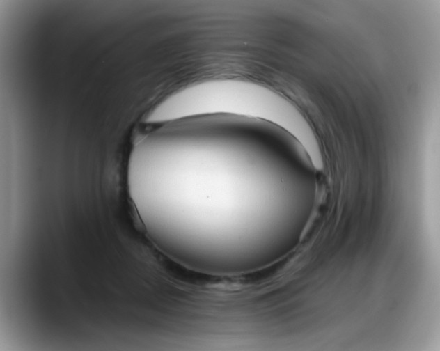 X0000088180362200705291957