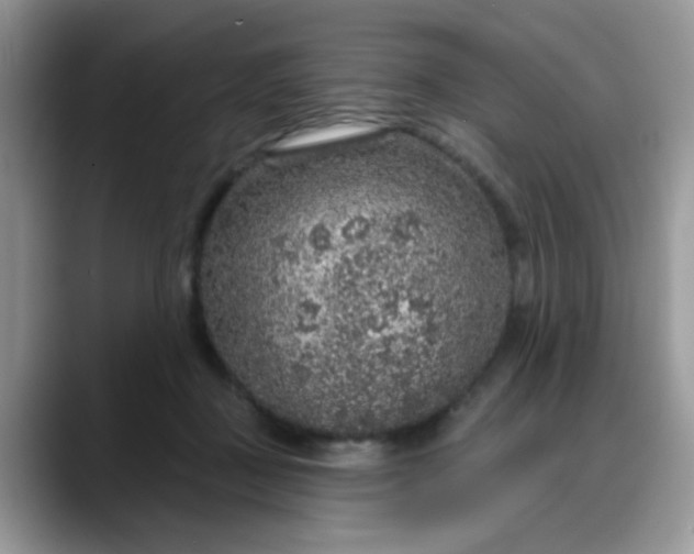 X0000088180363200705291957