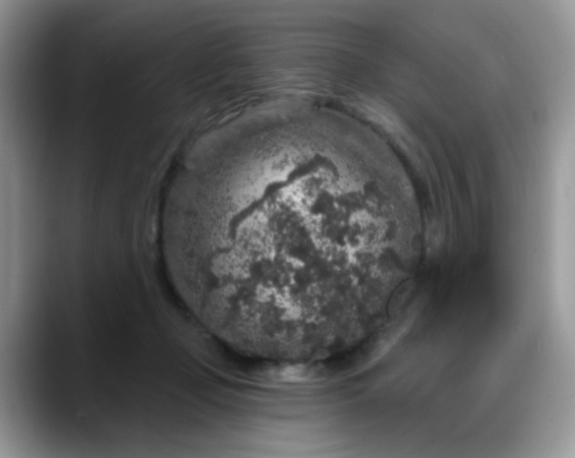 X0000088180365200705291957