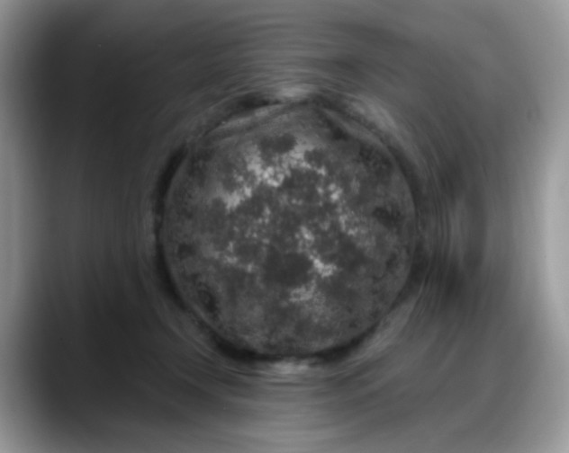 X0000088180366200705291957