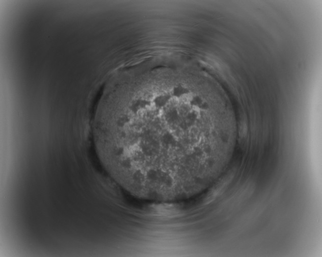 X0000088180367200705291957