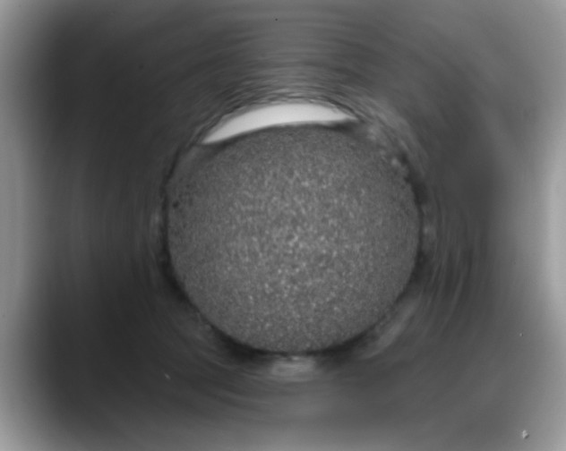 X0000088180369200705291957