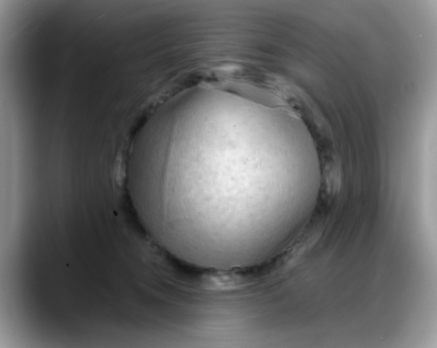 X0000088180372200705291957