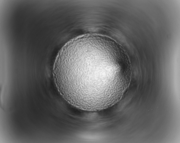 X0000088180374200705291957