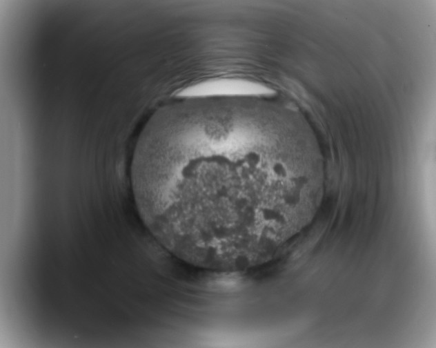 X0000088180377200705291957