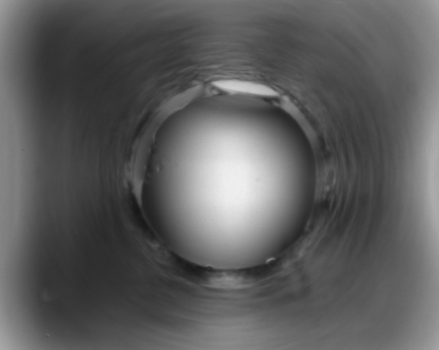 X0000088180380200705291957