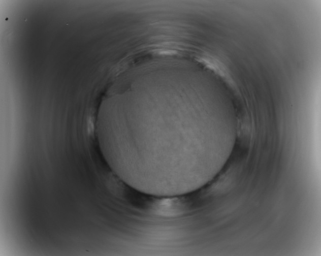 X0000088180382200705291957