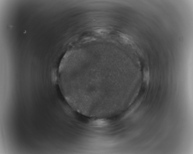 X0000088180383200705291957