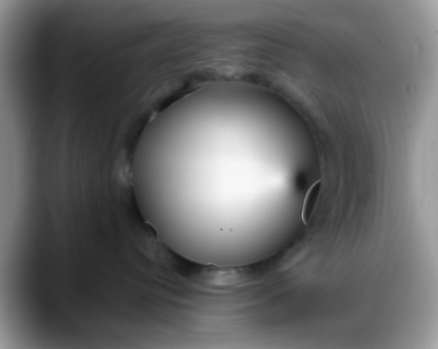 X0000088180384200705291957