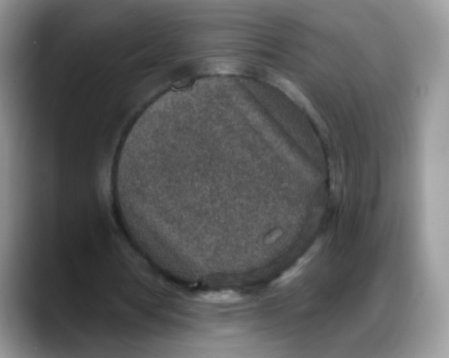 X0000088180386200705291956