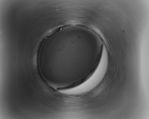 X0000088180387200705291956