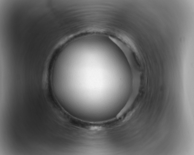 X0000088180388200705291956