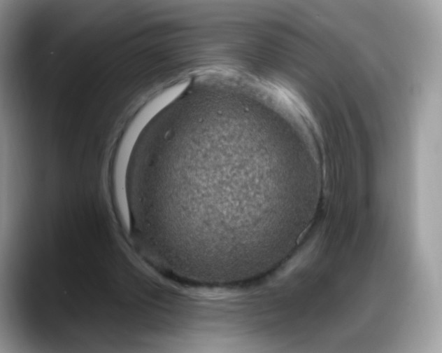 X0000088180389200705291956