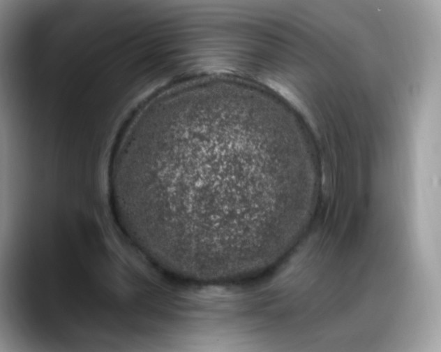 X0000088180390200705291956