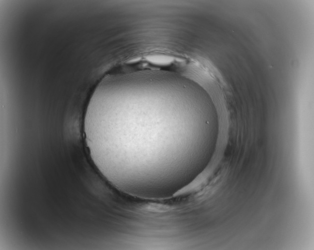 X0000088180393200705291956