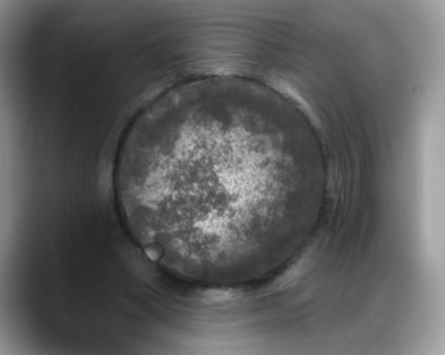 X0000088180394200705291956