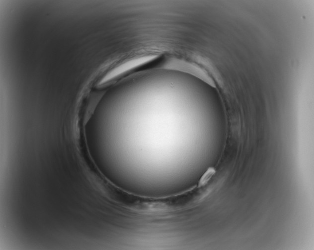 X0000088180395200705291956