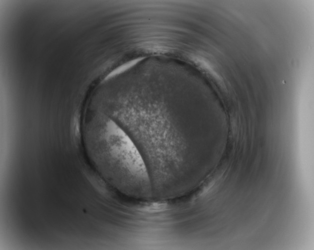 X0000088180398200705291956