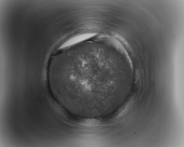 X0000088180399200705291956