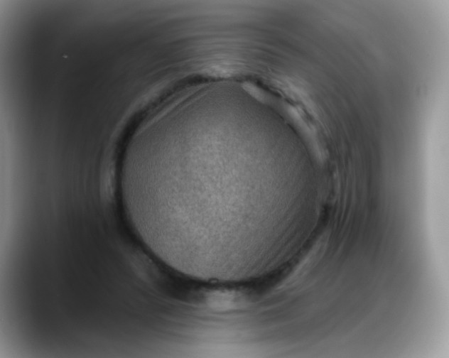 X0000088180400200705291956