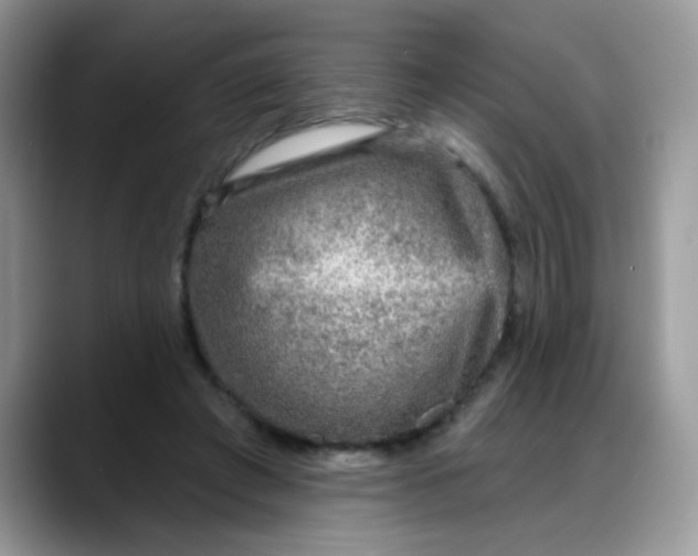 X0000088180401200705291956