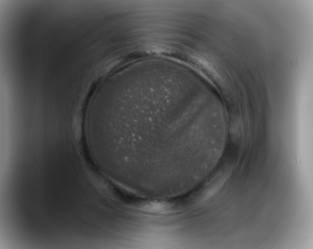 X0000088180402200705291956