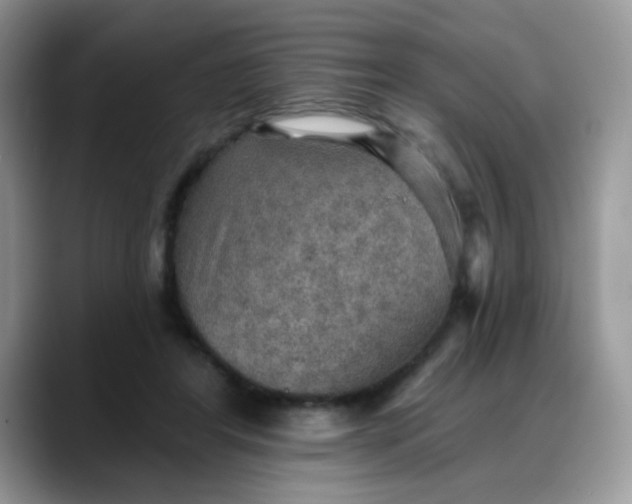 X0000088180404200705291956