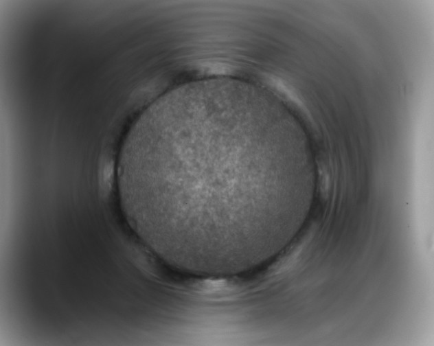 X0000088180406200705291956