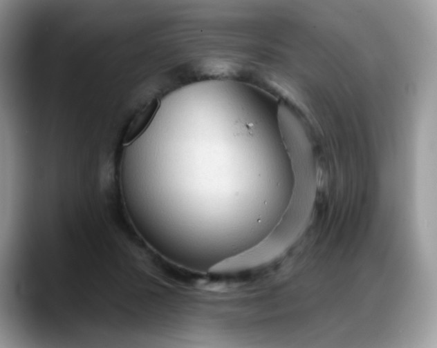 X0000088180407200705291956