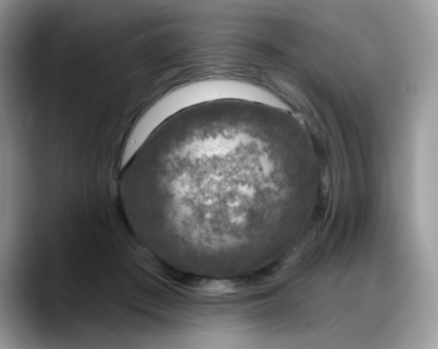 X0000088180409200705291956