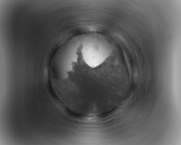 X0000088180410200705291956