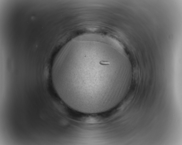 X0000088180412200705291956