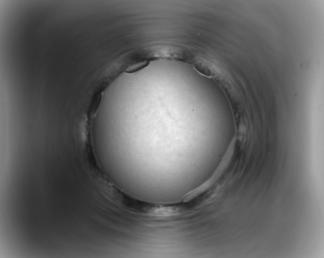 X0000088180413200705291956